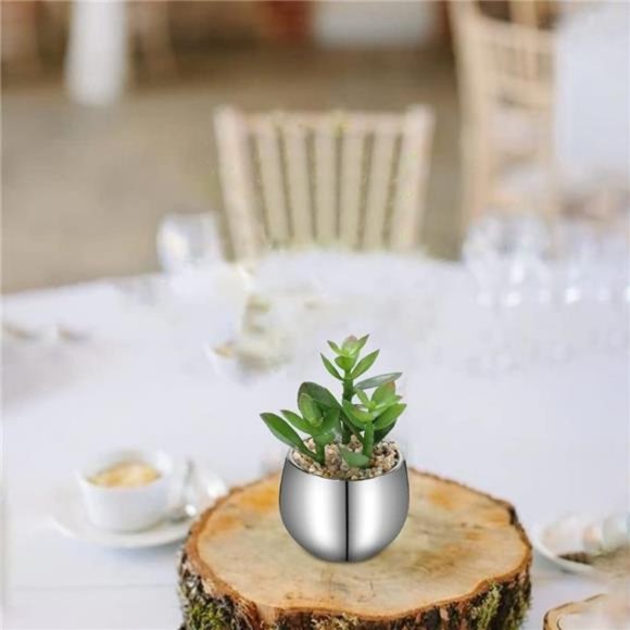 Small Artificial Succulents in Pots Set of 3 Realistic Faux Succulents Plants - Picture 4 of 6